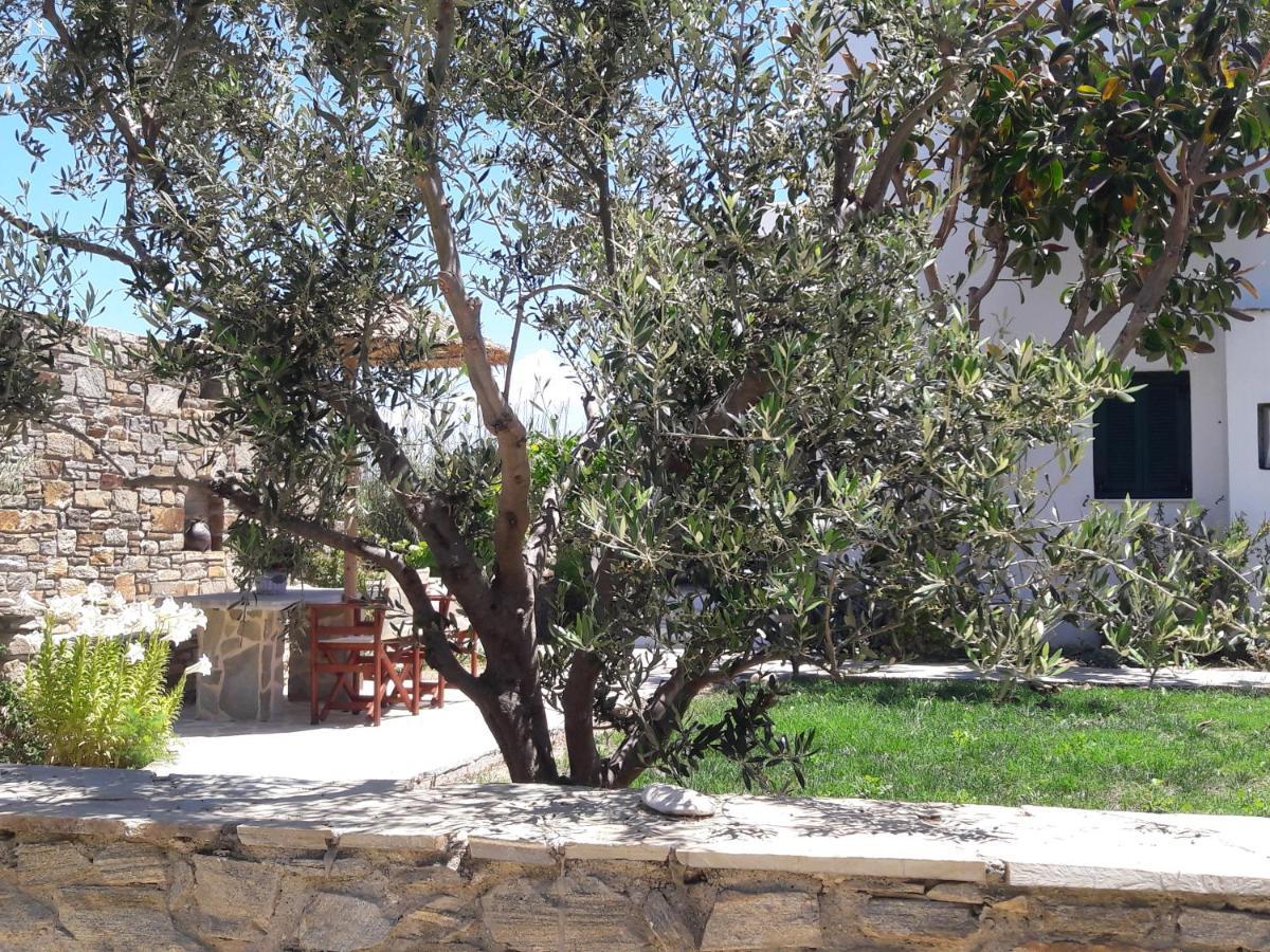Elpidas Studios Agia Anna  Dış mekan fotoğraf
