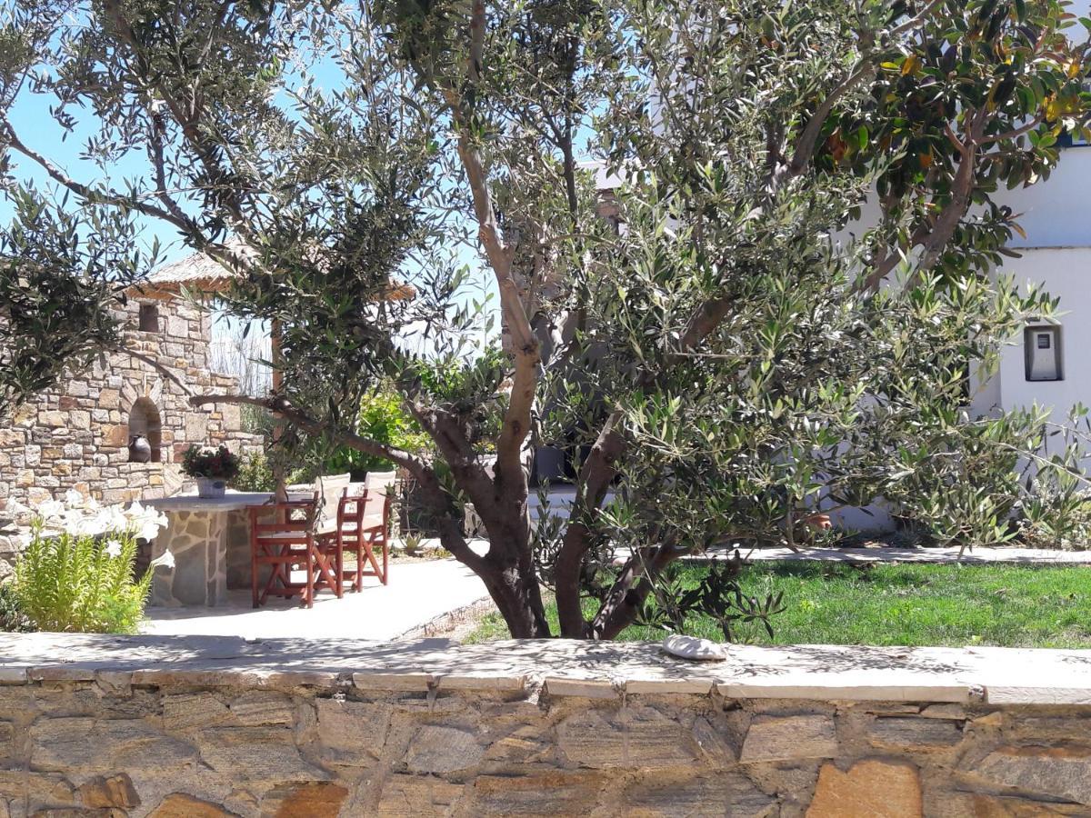 Elpidas Studios Agia Anna  Dış mekan fotoğraf